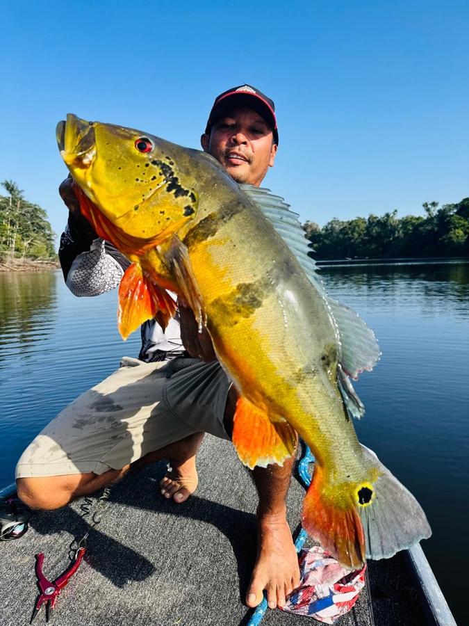 Angler holding a trophy peacock bass on the Rio Negro