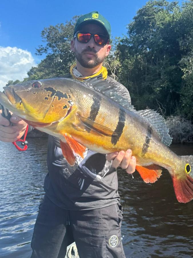 Brightly colored peacock bass with red-ringed tail spot