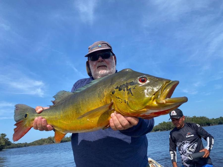 Tucunaré açu with open mouth held up on the boat