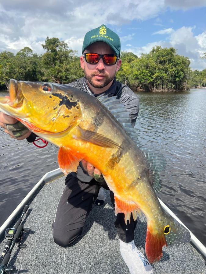 Peacock bass catch on the Rio Negro near Barcelos