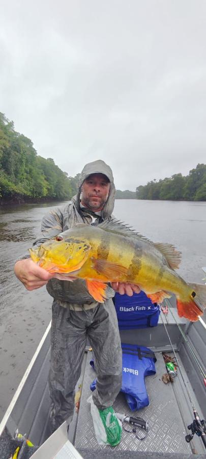 Rain-gear angler holding a striped peacock bass