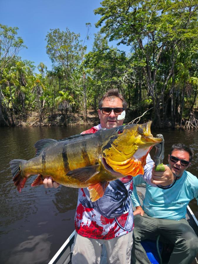 Golden peacock bass with red eyes held up boatside