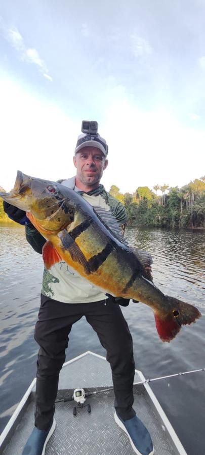 Angler with head camera holding a peacock bass