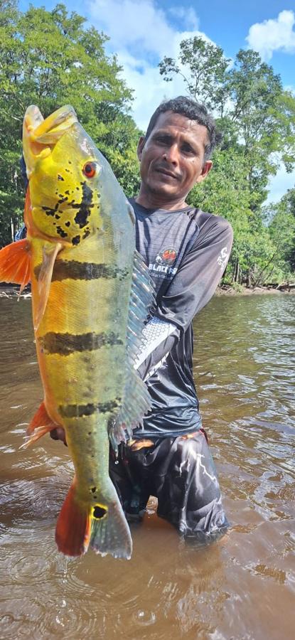 Angler standing in the water with a striped peacock bass