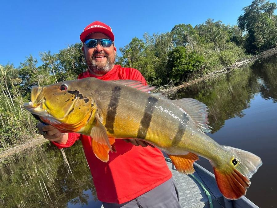 Red-capped angler with a big tucunaré on the Rio Negro