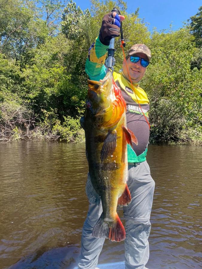 Angler in the river holding a peacock bass with pliers
