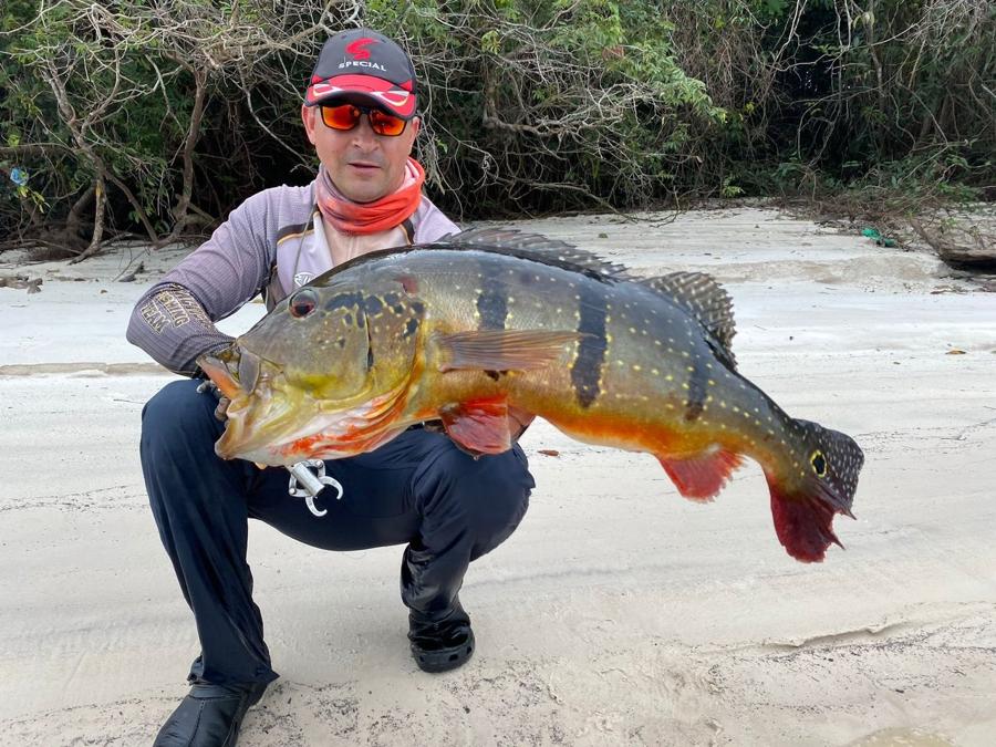 Beach catch — peacock bass with black spots and red fins