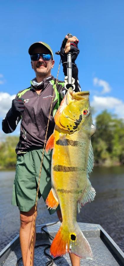 Angler measuring a trophy peacock bass on the boat