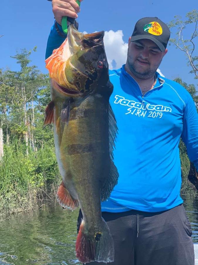 Angler kneeling with a barred peacock bass