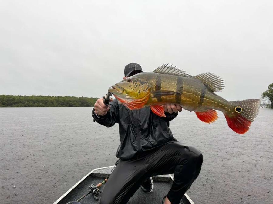 Dark-bodied catch with red fins on a gray morning
