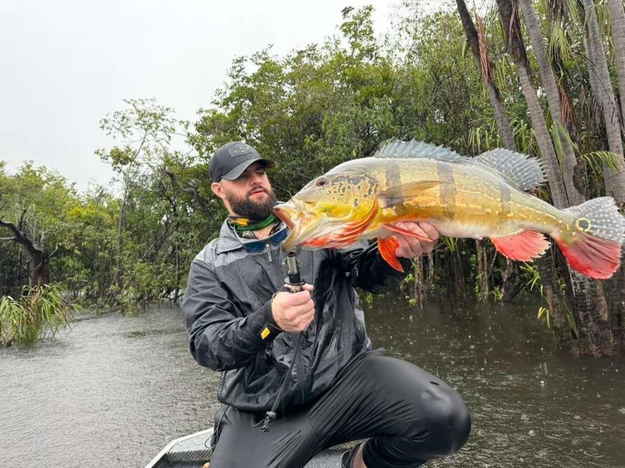 Angler with a colorful tucunare on the river