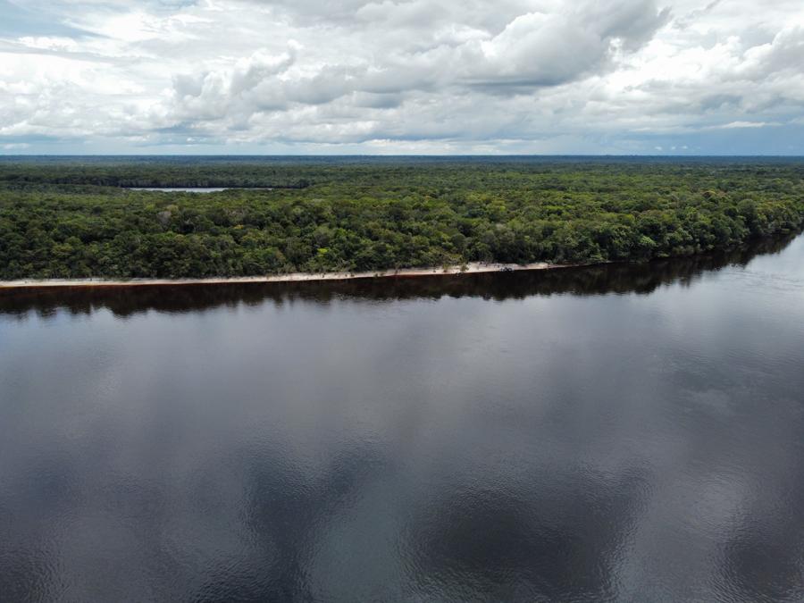 The fleet on the Rio Negro
